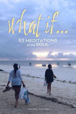 What If... 53 Meditations of the Soul