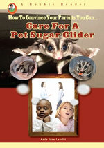Care for a Pet Sugar Glider