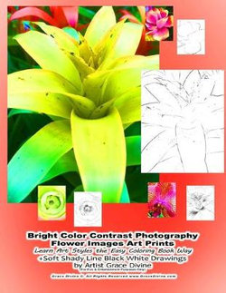 Bright Color Contrast Photography Flower Images Art Prints Learn Art Styles the Easy Coloring Book Way +Soft Shady Line Black White Drawings by Artist Grace Divine