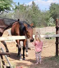 How to Horse