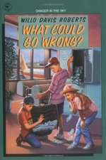 What Could Go Wrong?