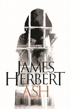 Ash: a David Ash Novel 3