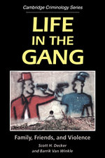 Life in the Gang