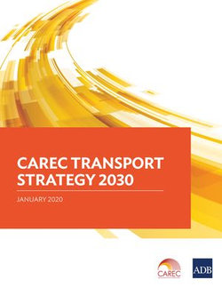 CAREC Transport Strategy 2030