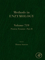 Protein Termini Part B