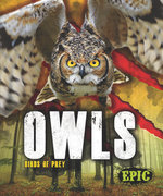 Owls