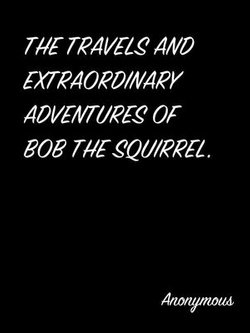 The Travels And Extraordinary Adventures Of Bob The Squirrel.