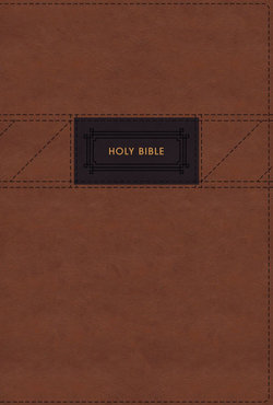 NIV, The Grace And Truth Study Bible