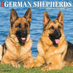 Just German Shepherds 2020 Wall Calendar (Dog Breed Calendar)