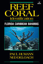 Reef Coral Identification