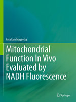 Mitochondrial Function In Vivo Evaluated by NADH Fluorescence