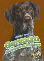 German Shorthaired Pointers