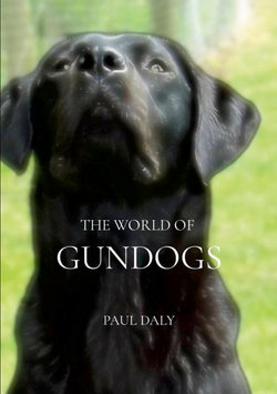 The World of Gundogs