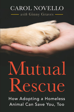 Mutual Rescue