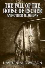 The Fall of the House of Escher and Other Illusions