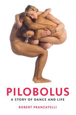 Pilobolus