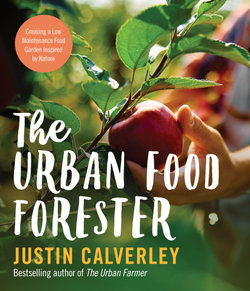 The Urban Food Forester