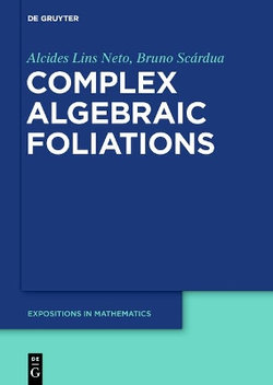 Complex Algebraic Foliations