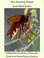 The Hunting Wasps