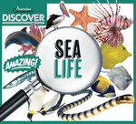 Australian Geographic Discover: Sea Life