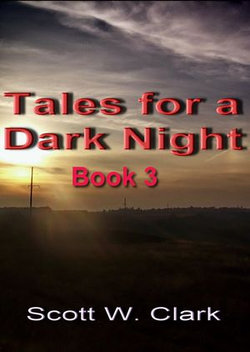 Tales for a Dark Night, Book 3--an Archon anthology of horror