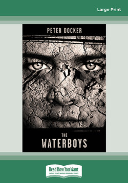 The Waterboys
