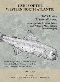 Order Iniomi (Myctophiformes)