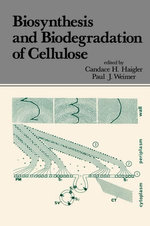 Biosynthesis and Biodegradation of Cellulose