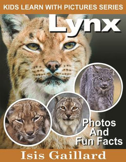 Lynx Photos and Fun Facts for Kids