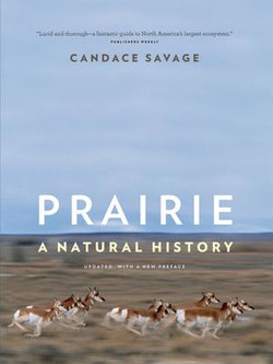 Prairie Prairie