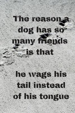 The reason a dog has so many friends is that he wags his tail instead of his tongue