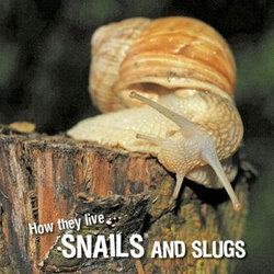 How they live... Snails and Slugs