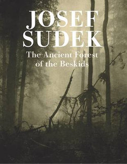 Josef Sudek - Mionsi Forest