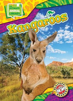Kangaroos