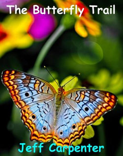 The Butterfly Trail