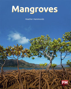 Mangroves