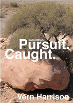 Pursuit. Caught.