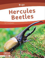 Bugs: Hercules Beetles