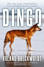 Dingo