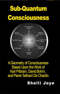Sub-Quantum Consciousness