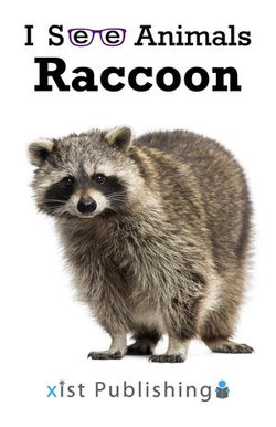 Raccoon Raccoon