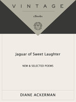 Jaguar of Sweet Laughter