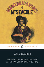 Wonderful Adventures of Mrs Seacole in Many Lands