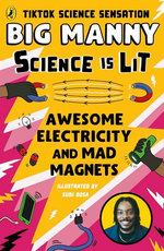 Awesome Electricity and Mad Magnets