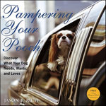 Pampering Your Pooch