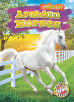 Arabian Horses