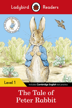 The Tale of Peter Rabbit: Ladybird Readers Level 1