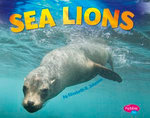 Sea Lions