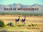 Days of Wonderment