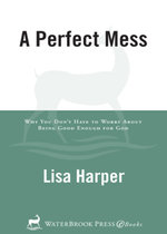 A Perfect Mess